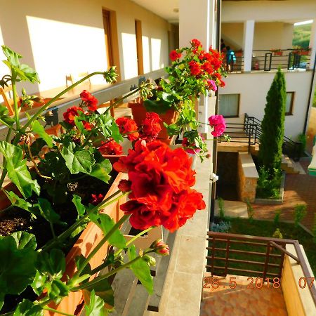 Pension Laura Cheile Turzii Petrestii de Jos Экстерьер фото