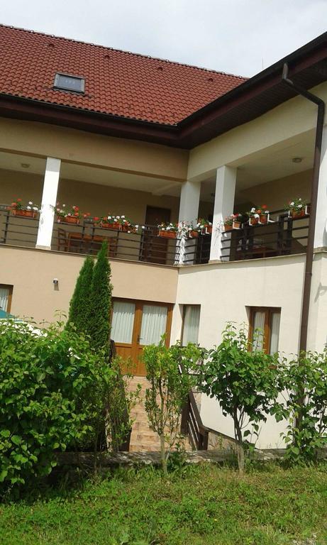 Pension Laura Cheile Turzii Petrestii de Jos Экстерьер фото