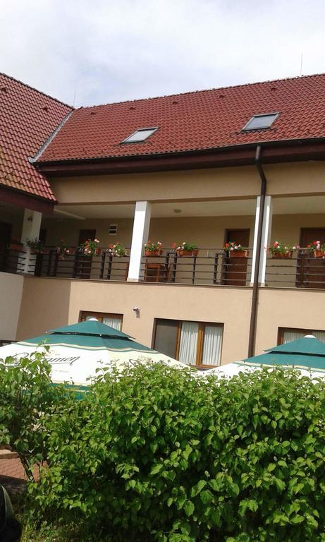 Pension Laura Cheile Turzii Petrestii de Jos Экстерьер фото