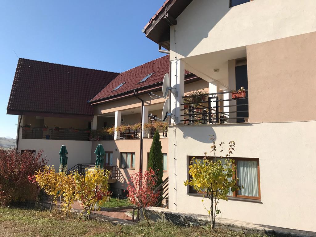 Pension Laura Cheile Turzii Petrestii de Jos Экстерьер фото