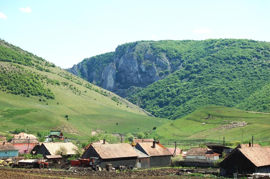 Pension Laura Cheile Turzii Petrestii de Jos Экстерьер фото
