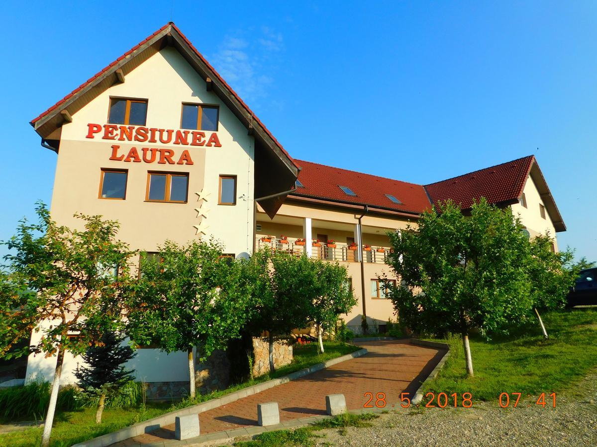 Pension Laura Cheile Turzii Petrestii de Jos Экстерьер фото