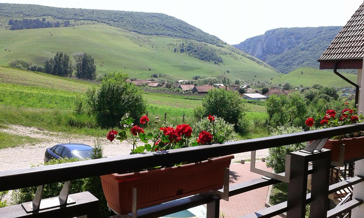 Pension Laura Cheile Turzii Petrestii de Jos Экстерьер фото