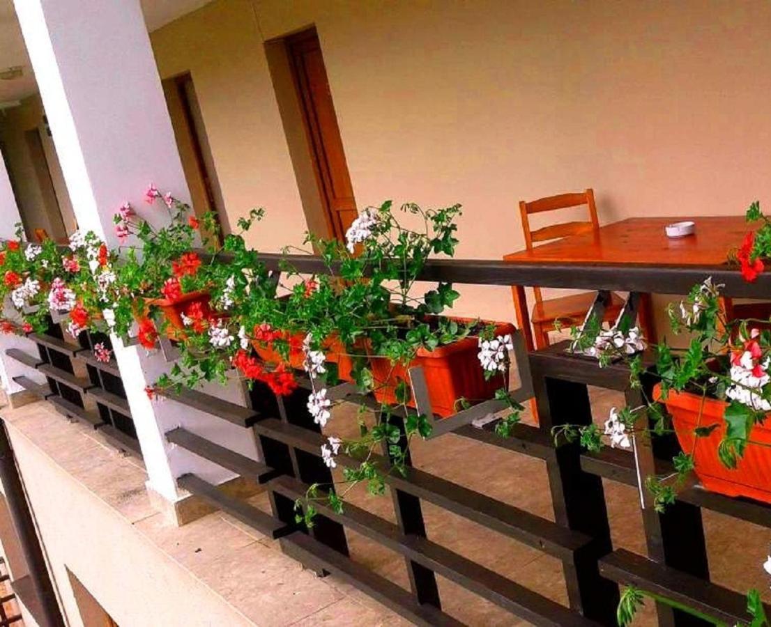 Pension Laura Cheile Turzii Petrestii de Jos Номер фото